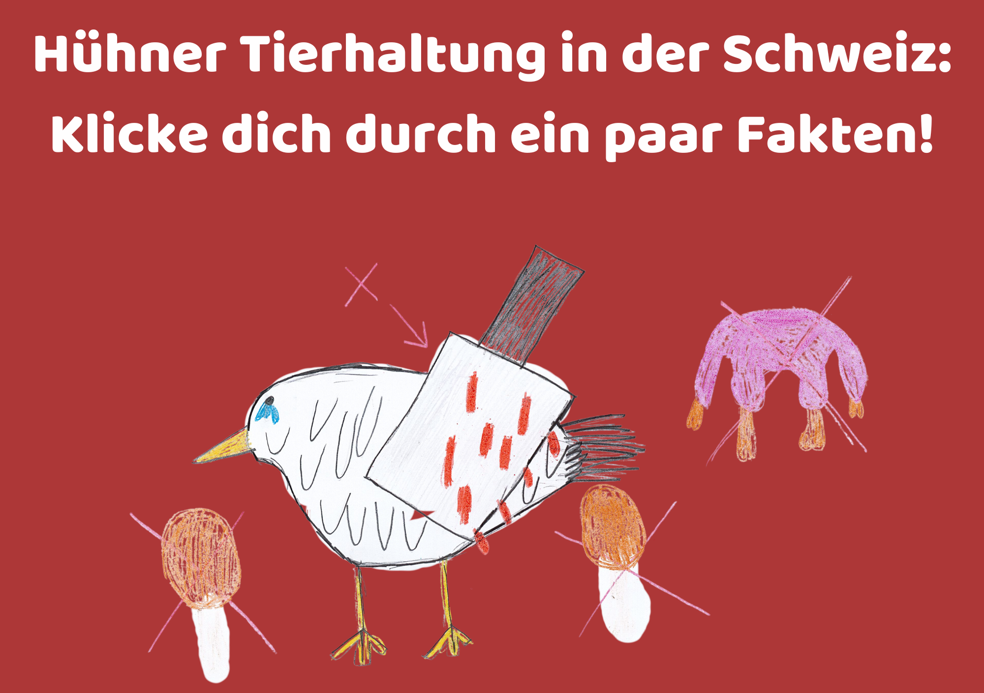 Teirhaltung Huhn Titelbild