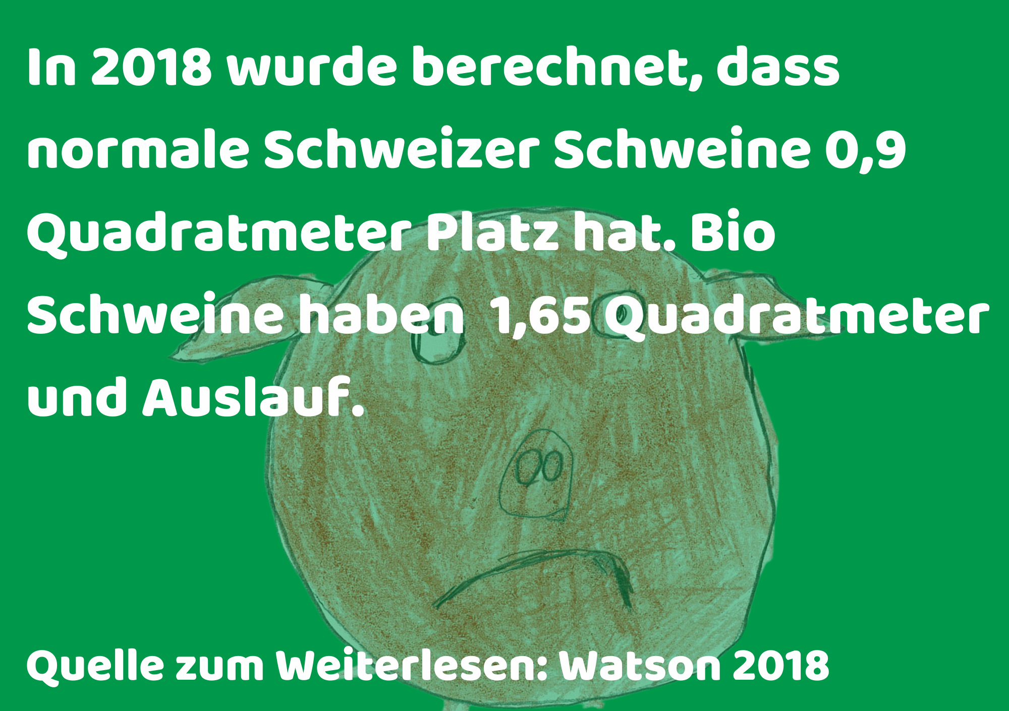 AMTH Fakten Bilder schwein 2